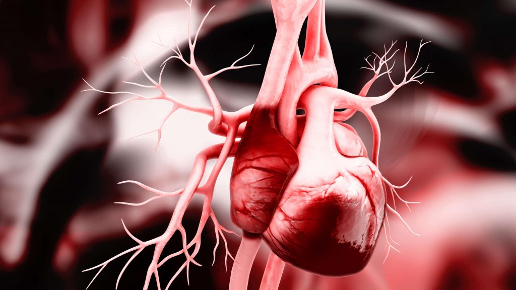 heart